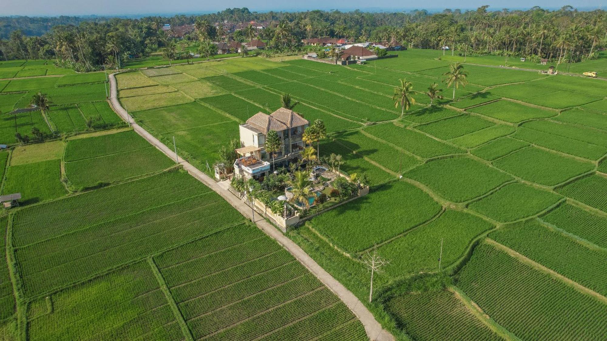 The Nenggala Suite Tegallalang  Exterior photo